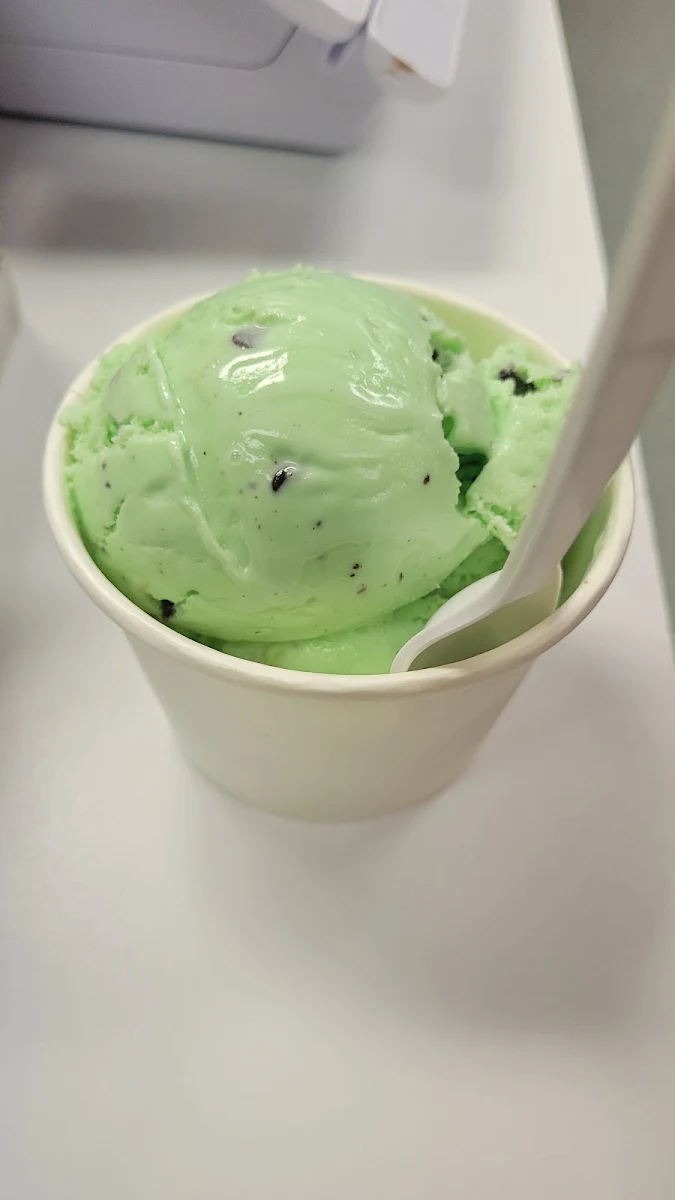 Mint Chocolate Chip
