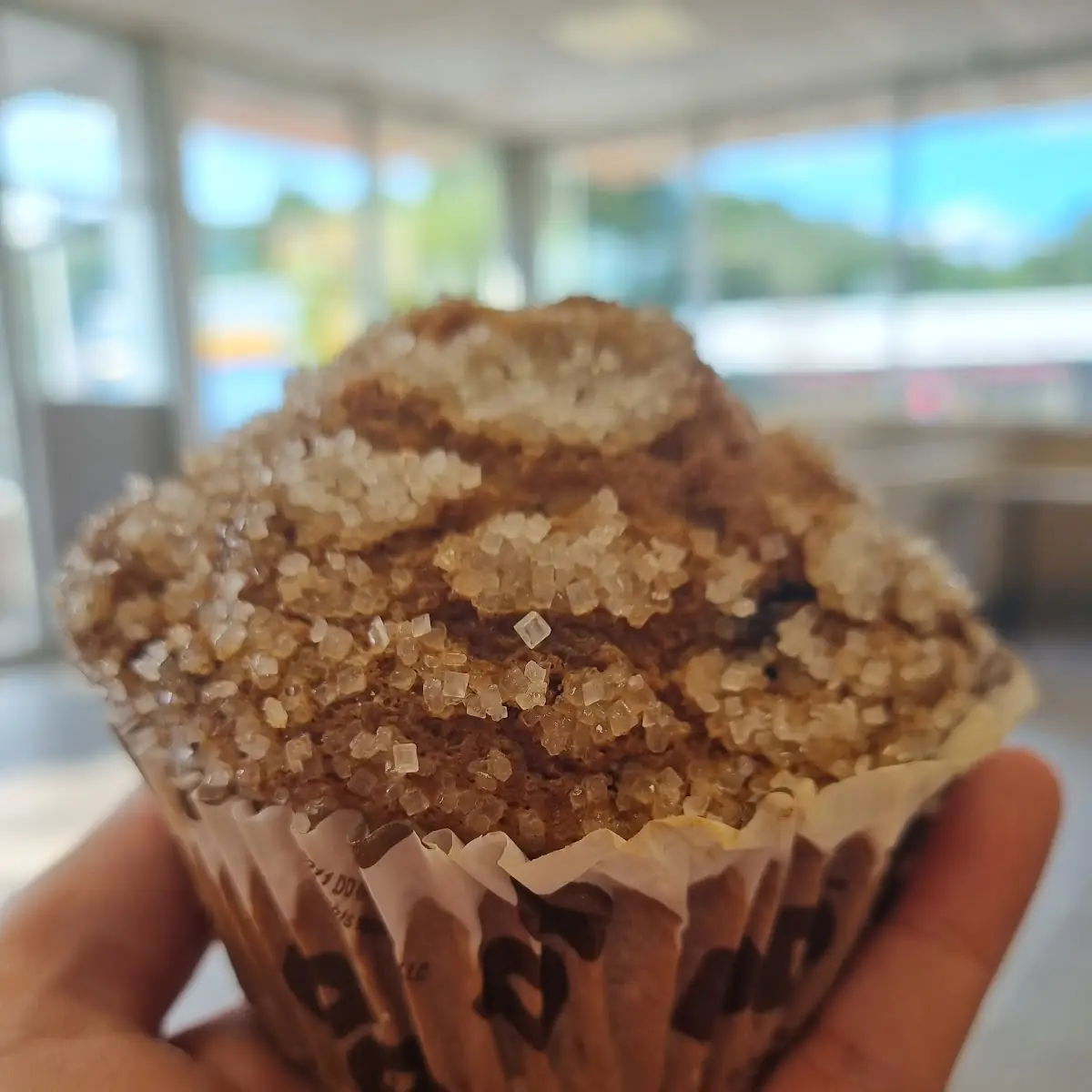 Chocolate Chip Muffin