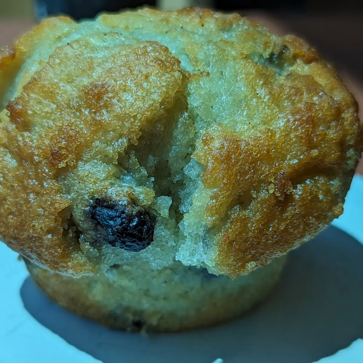 Lemon-Blueberry Muffin
