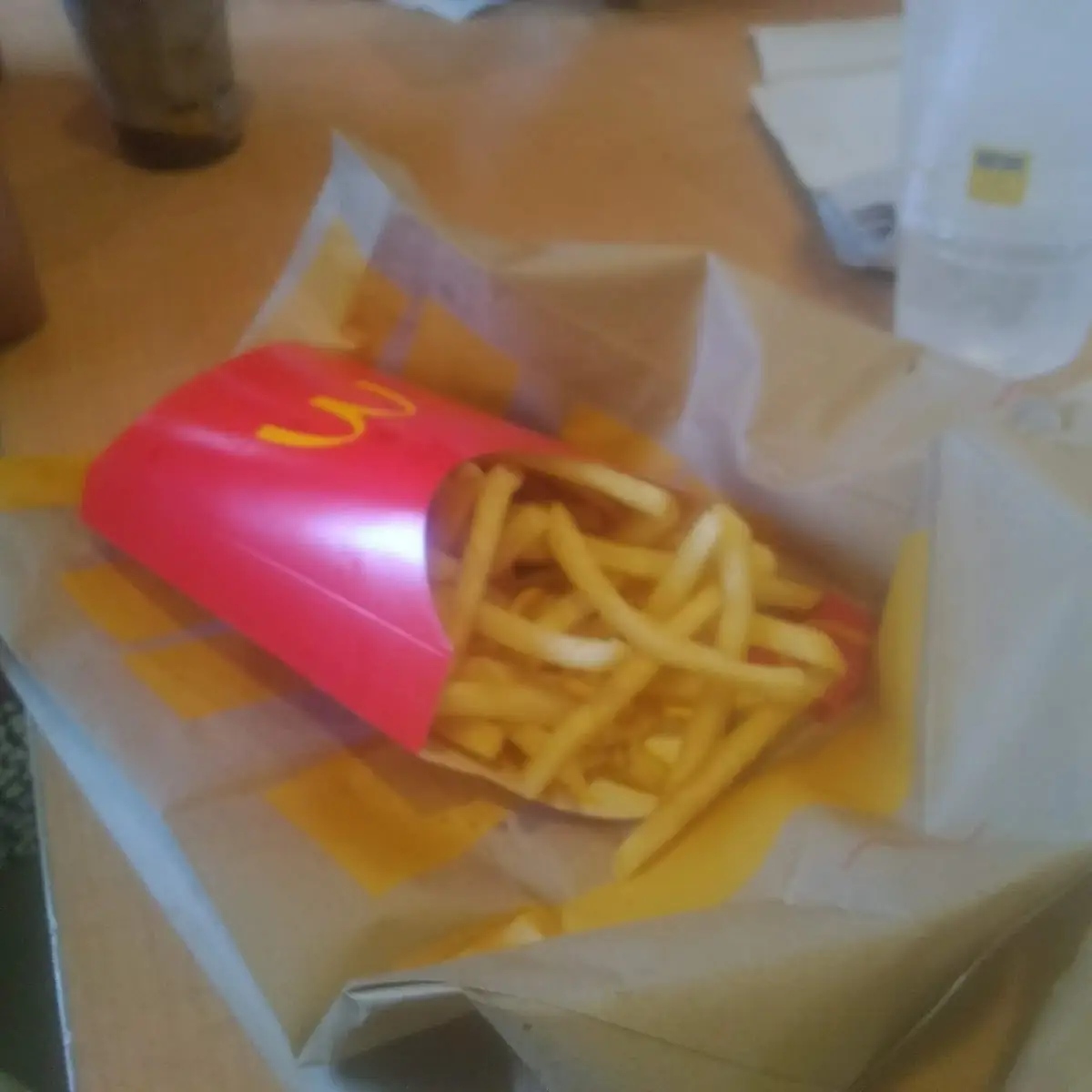 World Famous Fries