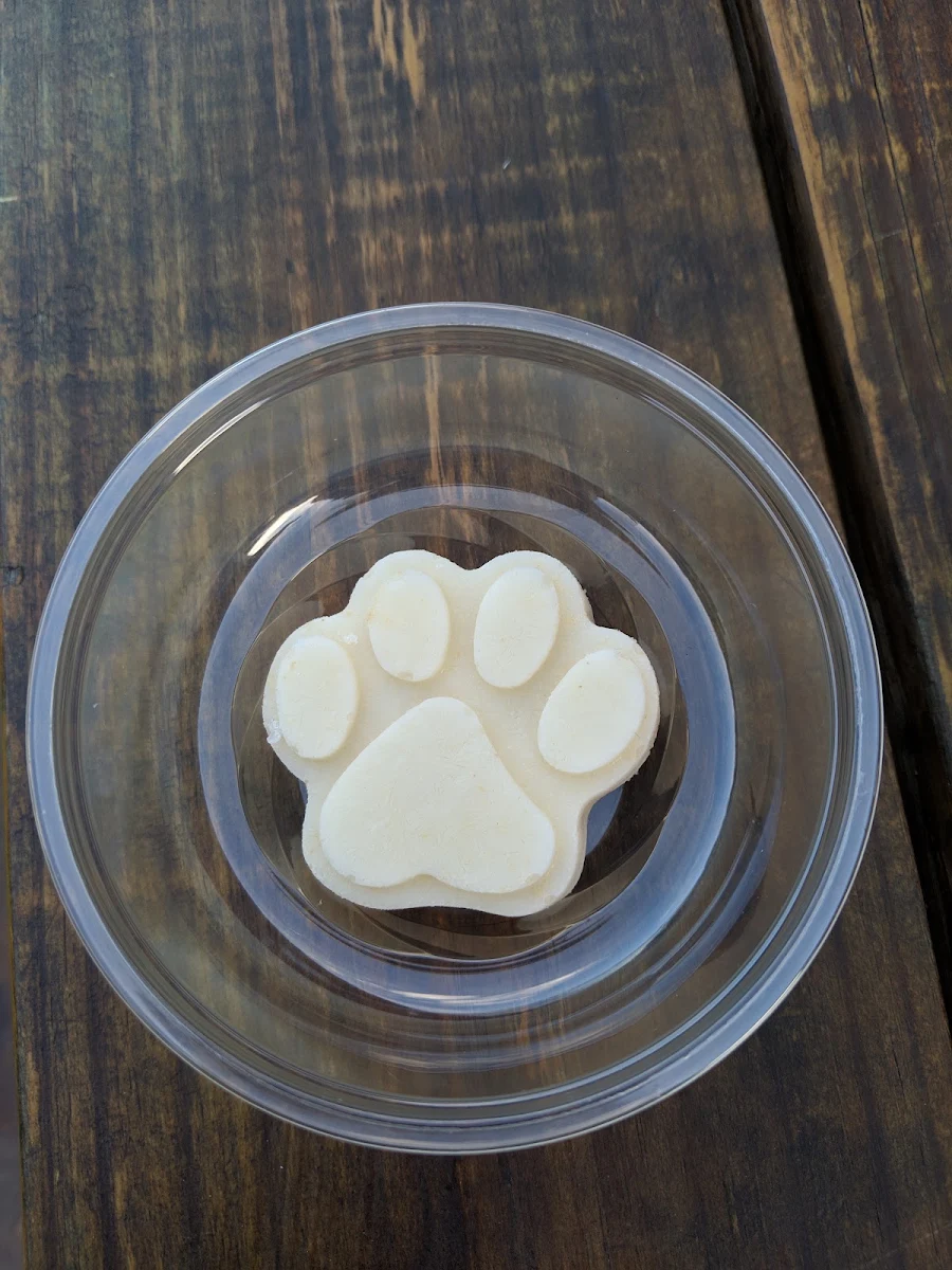 Doggy Ice Cream Treat