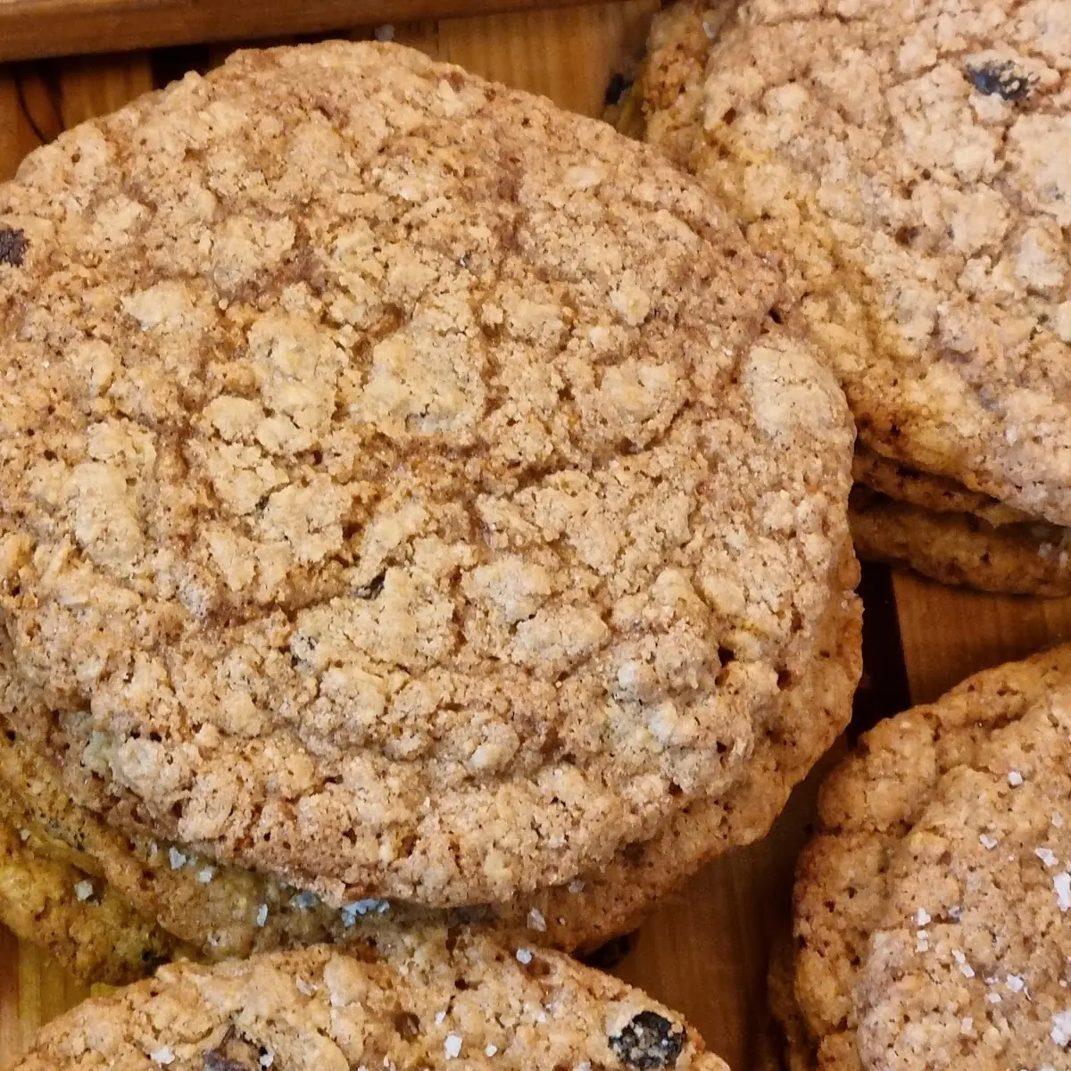Oatmeal Raisin Cookie