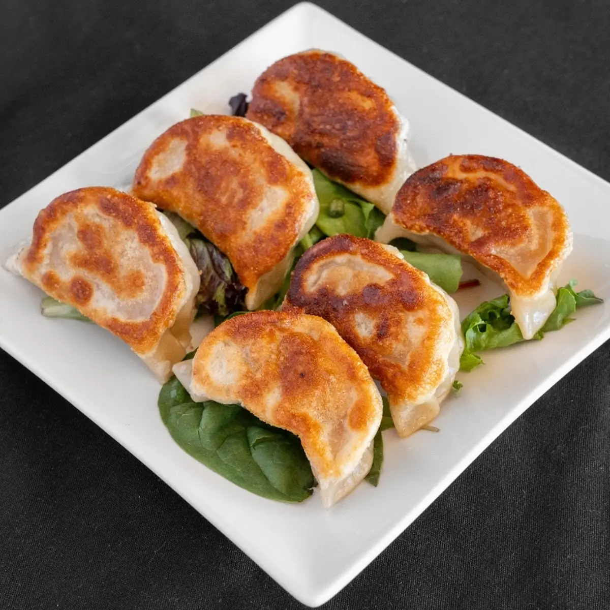 Pan Fried Pork Dumplings