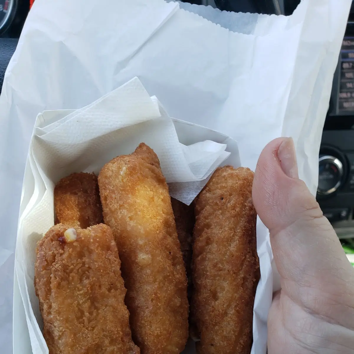 Mozzarella Cheese Sticks