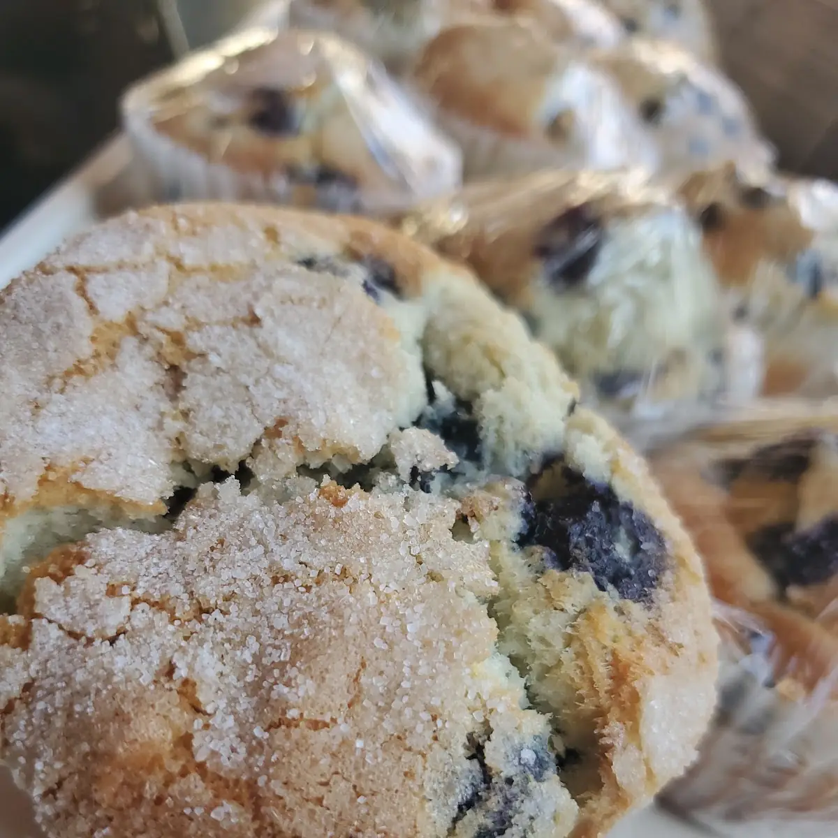 Blueberry Muffin
