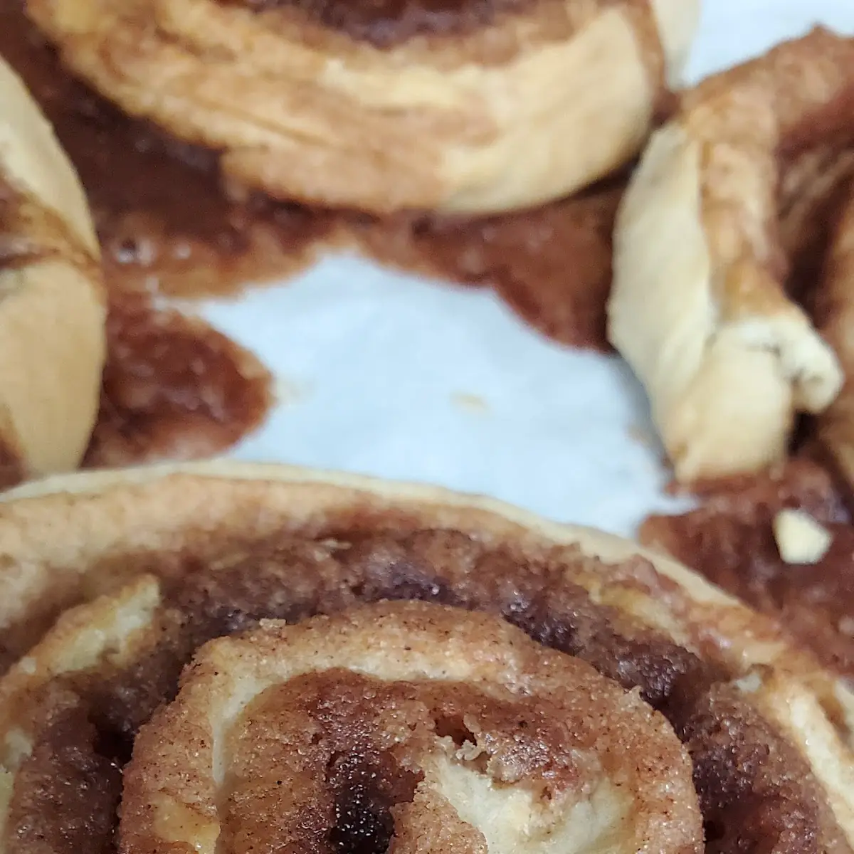 Cinnamon Roll
