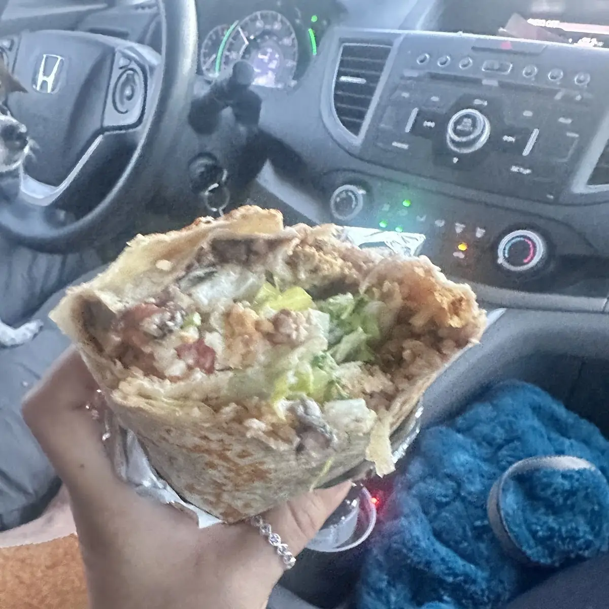 Chicken Burrito