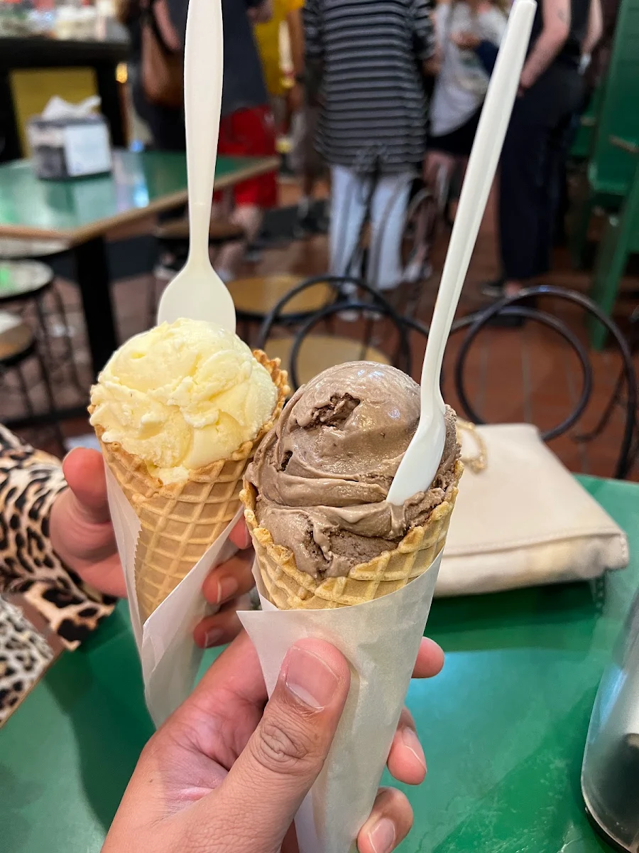 Chocolate and Vanilla Ice Cream