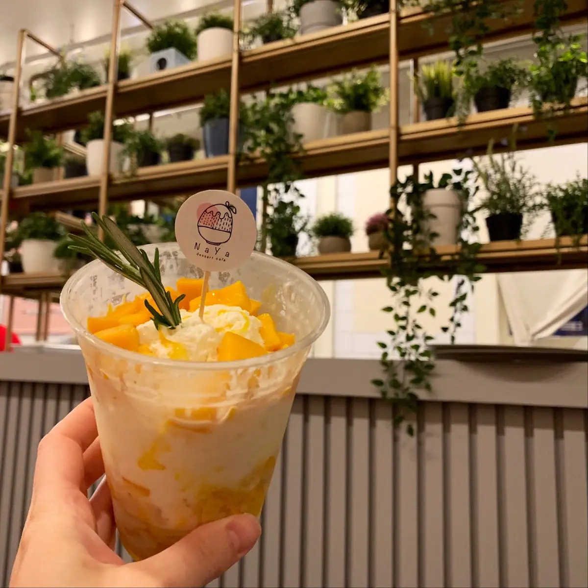 Mango Tango Bingsu