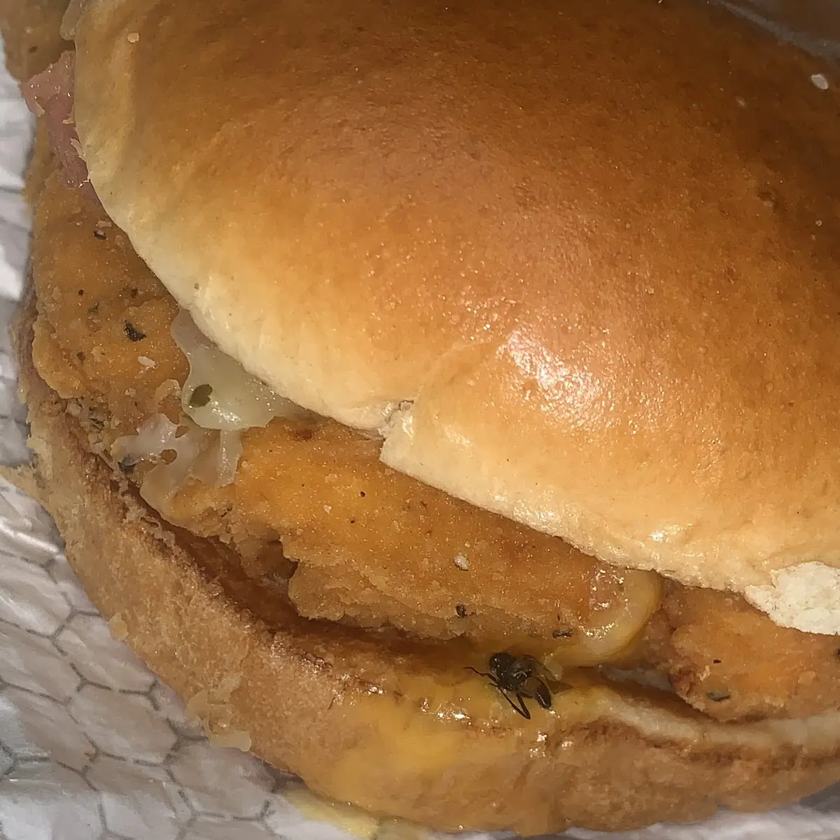 Fish Sandwich