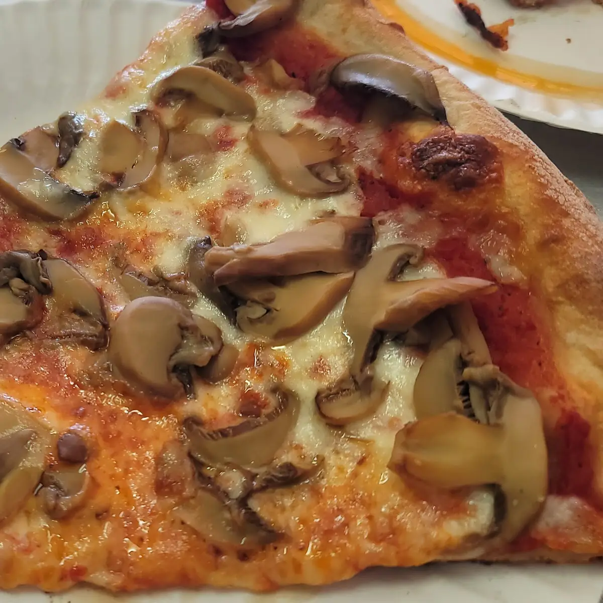Mushroom Pizza