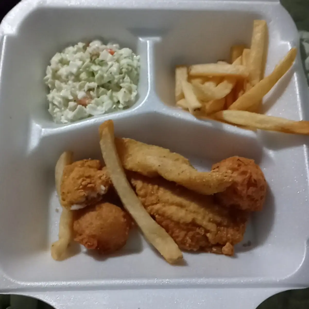 Catfish Fillet