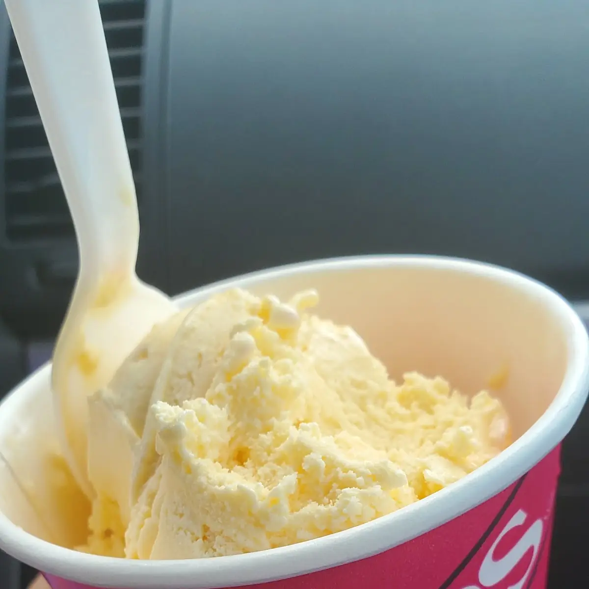 Vanilla Ice Cream