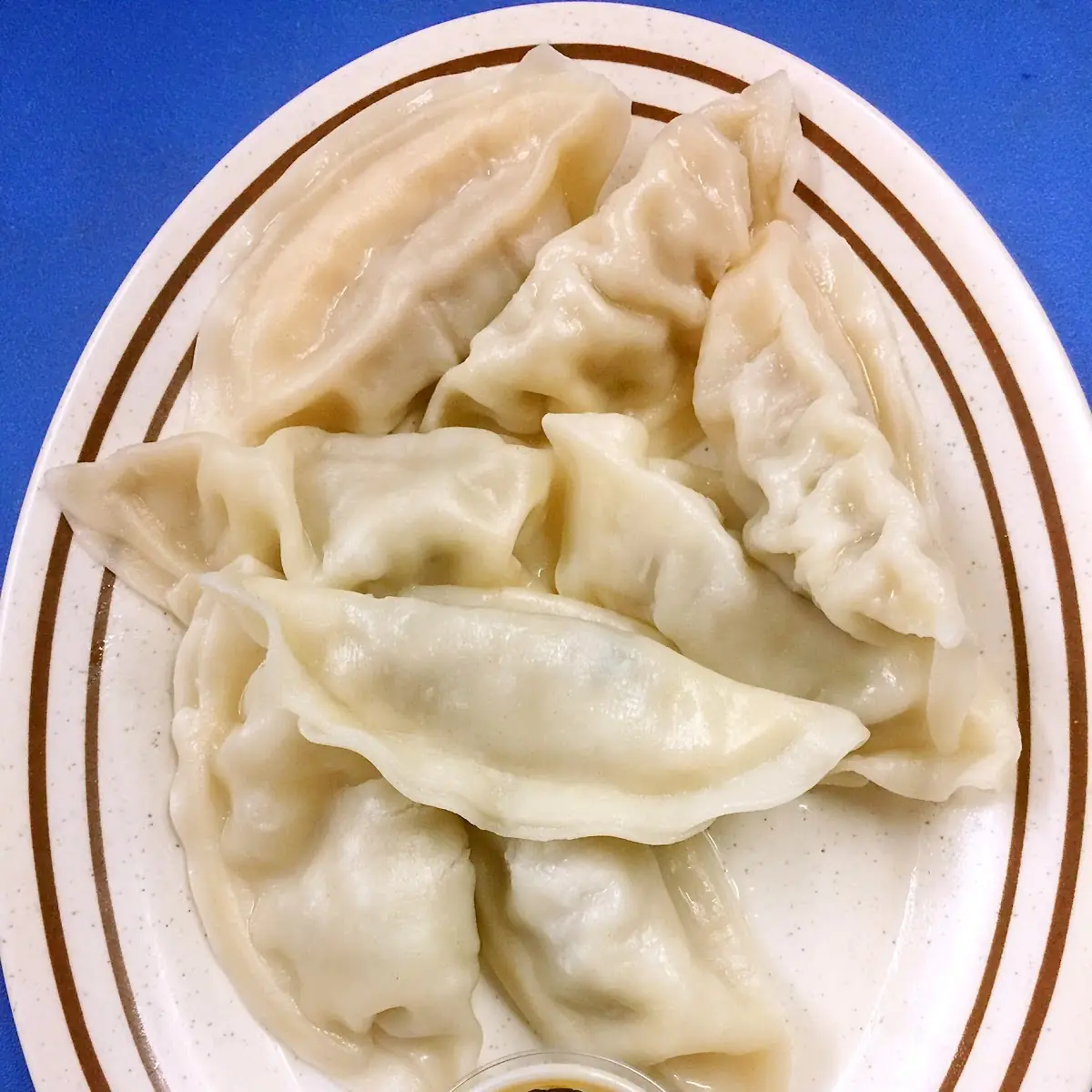 Fried or Steamed Dumplings 8