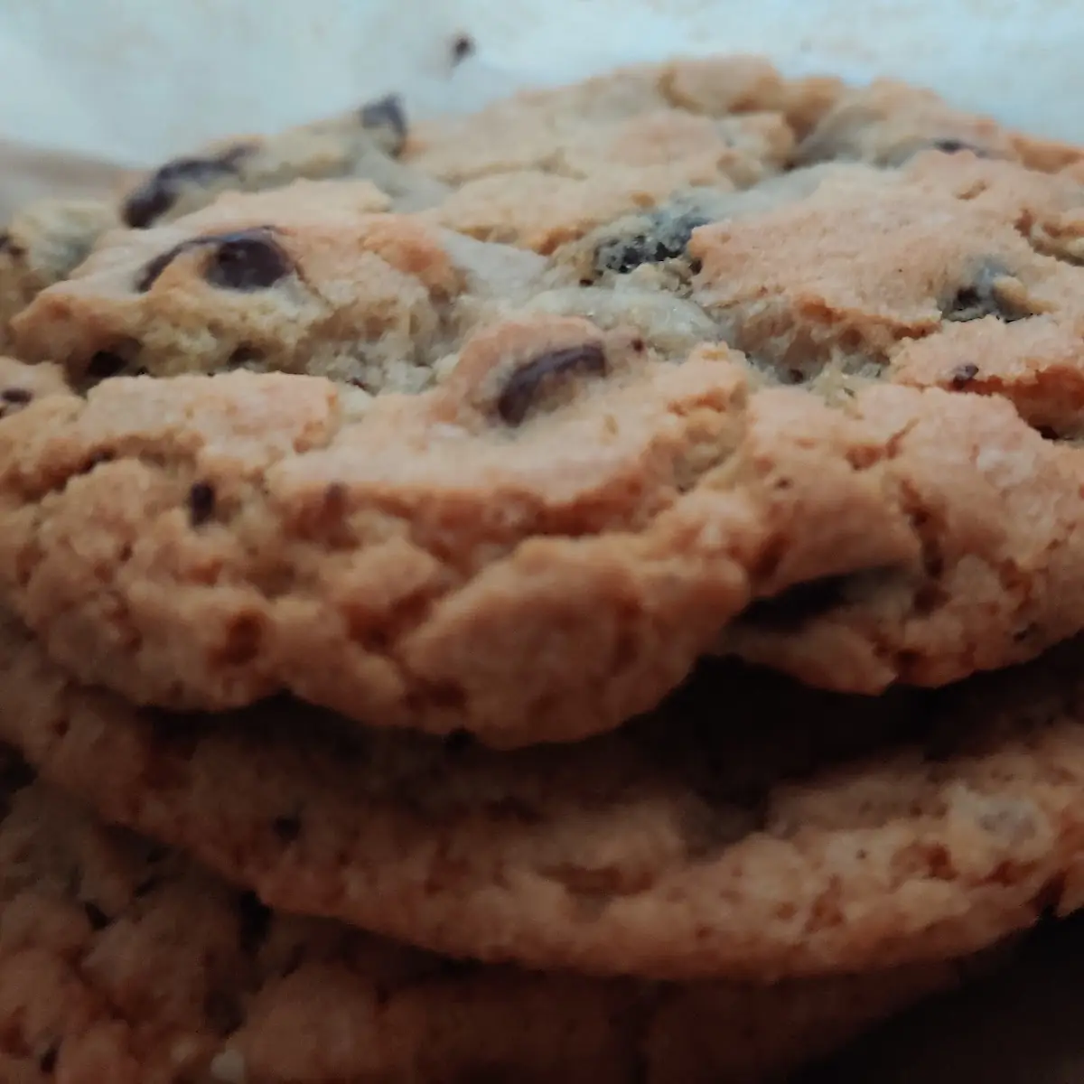 Salted Chocolate Chip Cookie V
