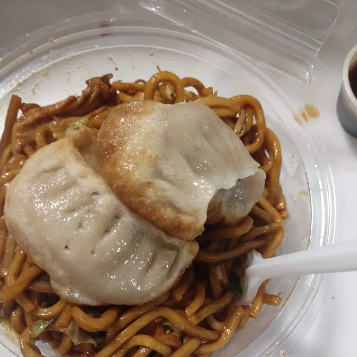 Fried Dumplings and Chicken Lo Mein