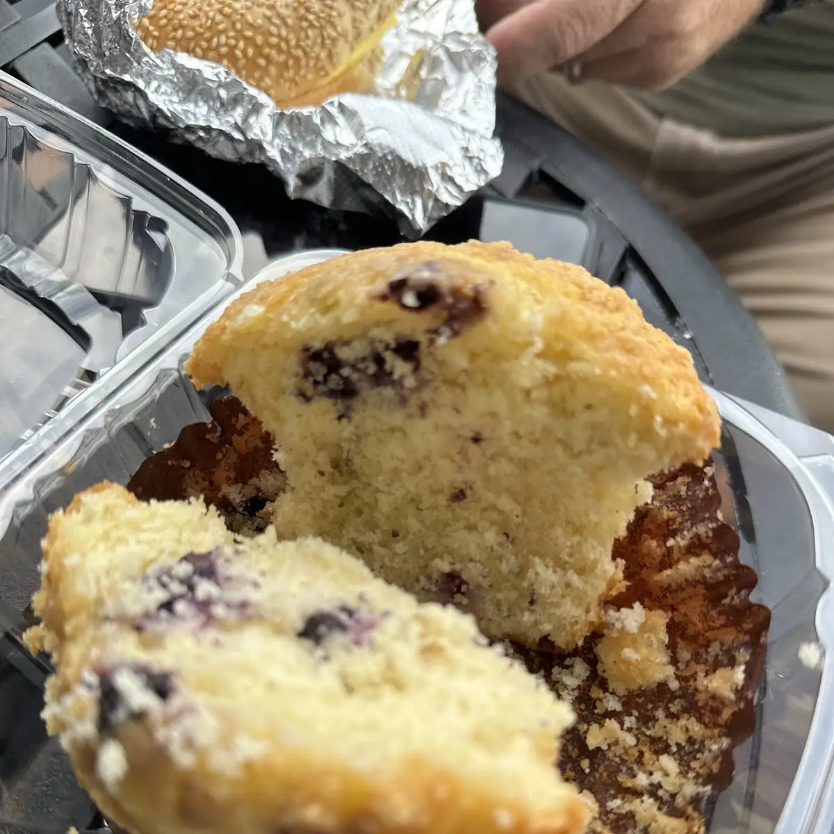 Blueberry Muffin