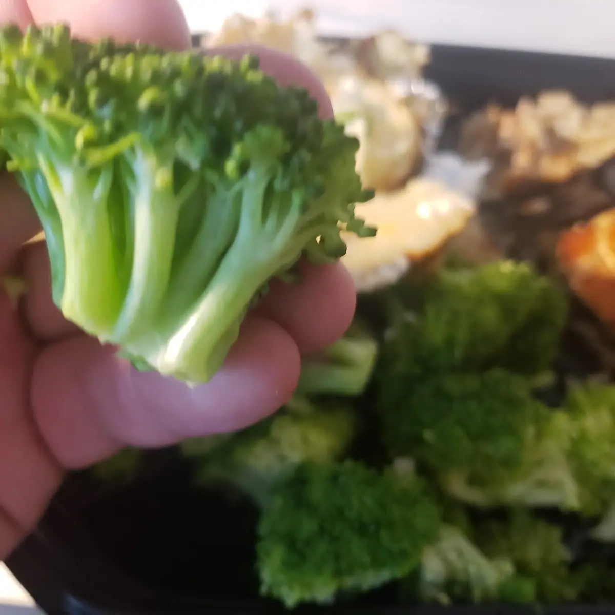 Fresh Steamed Broccoli