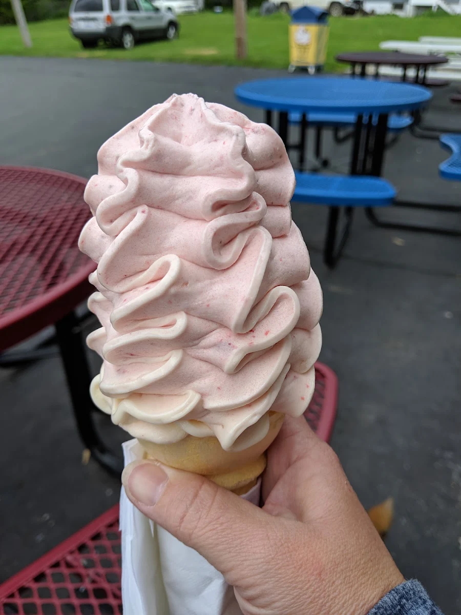Fat Free Strawberry Yogurt