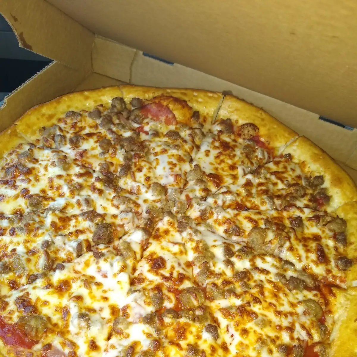 Large Sausage Pizza