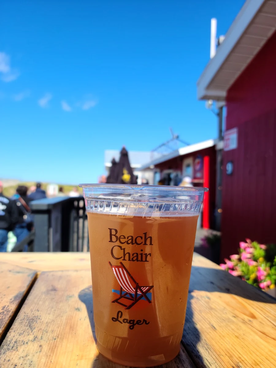 Blueberry Ale by Gahan