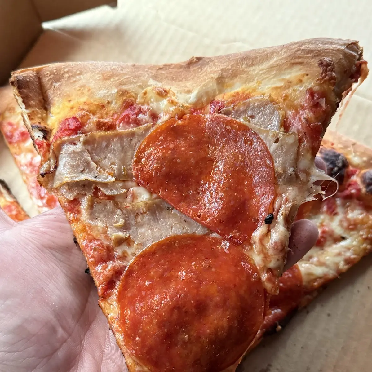 Pepperoni Sausage Pizza Slice
