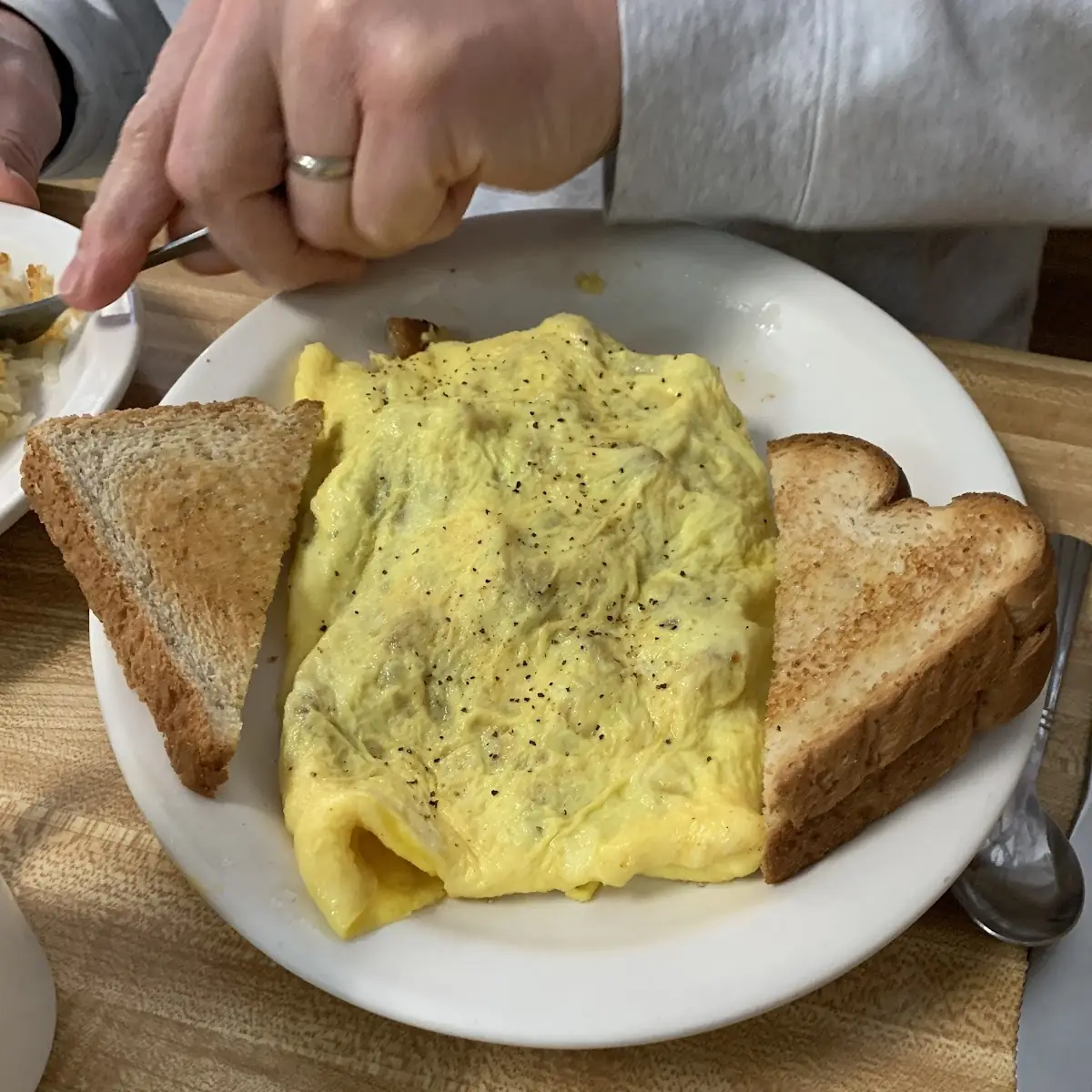 Cheese Omelette