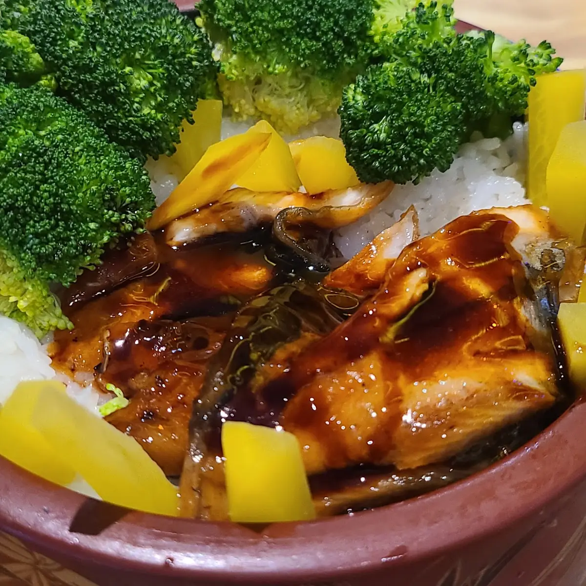 Unagi Don