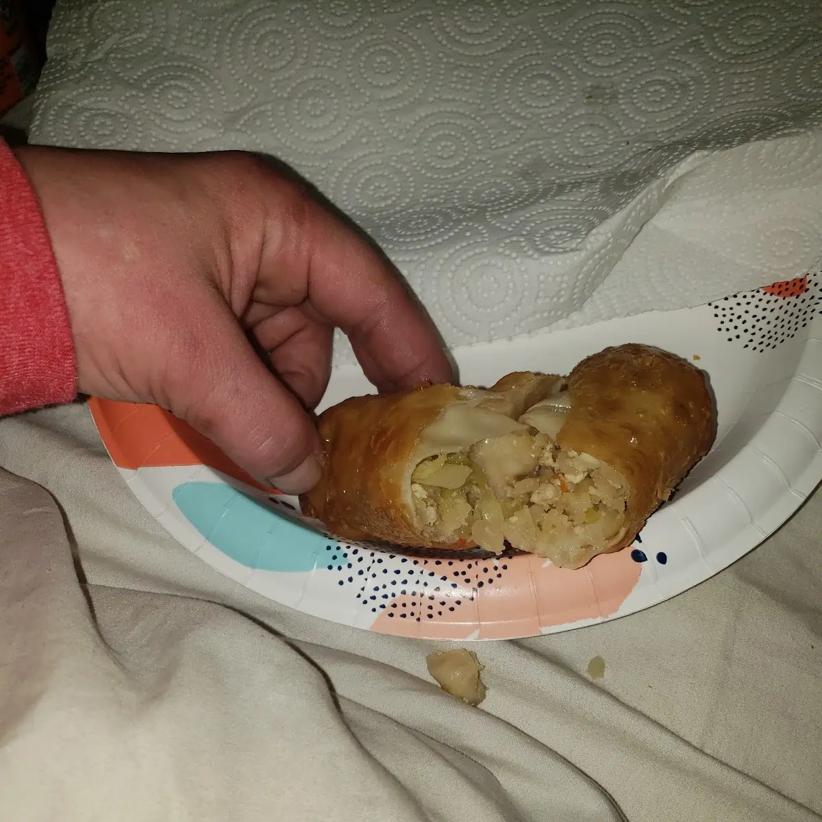 Cabbage Egg Roll