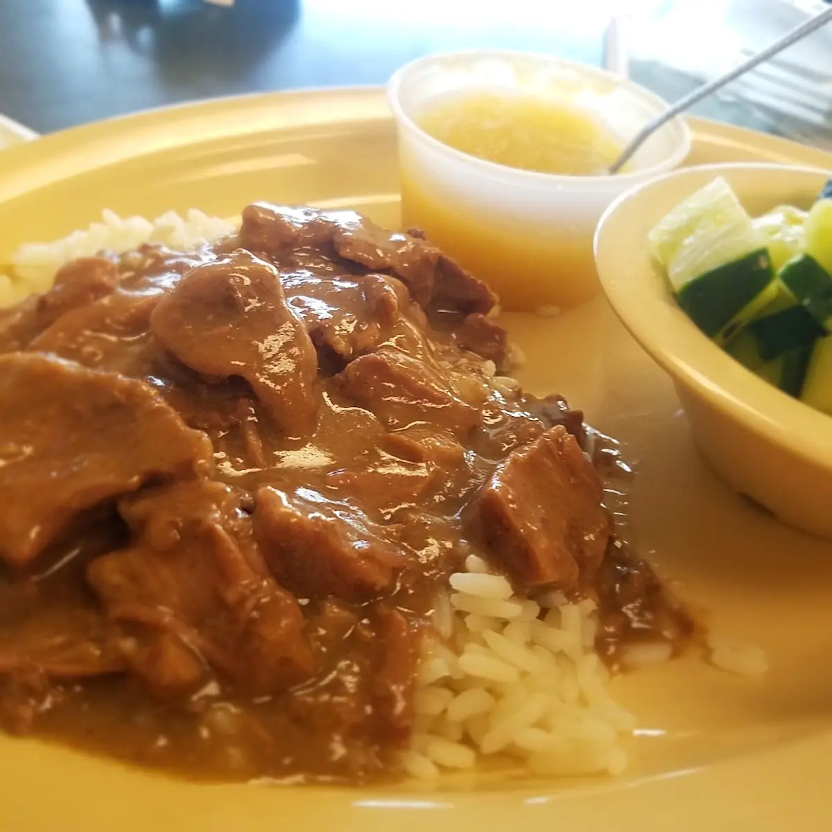 Stew Beef over Rice W2