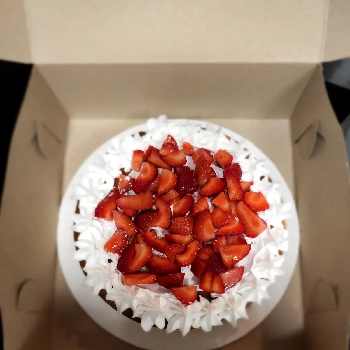 Cheese Cake