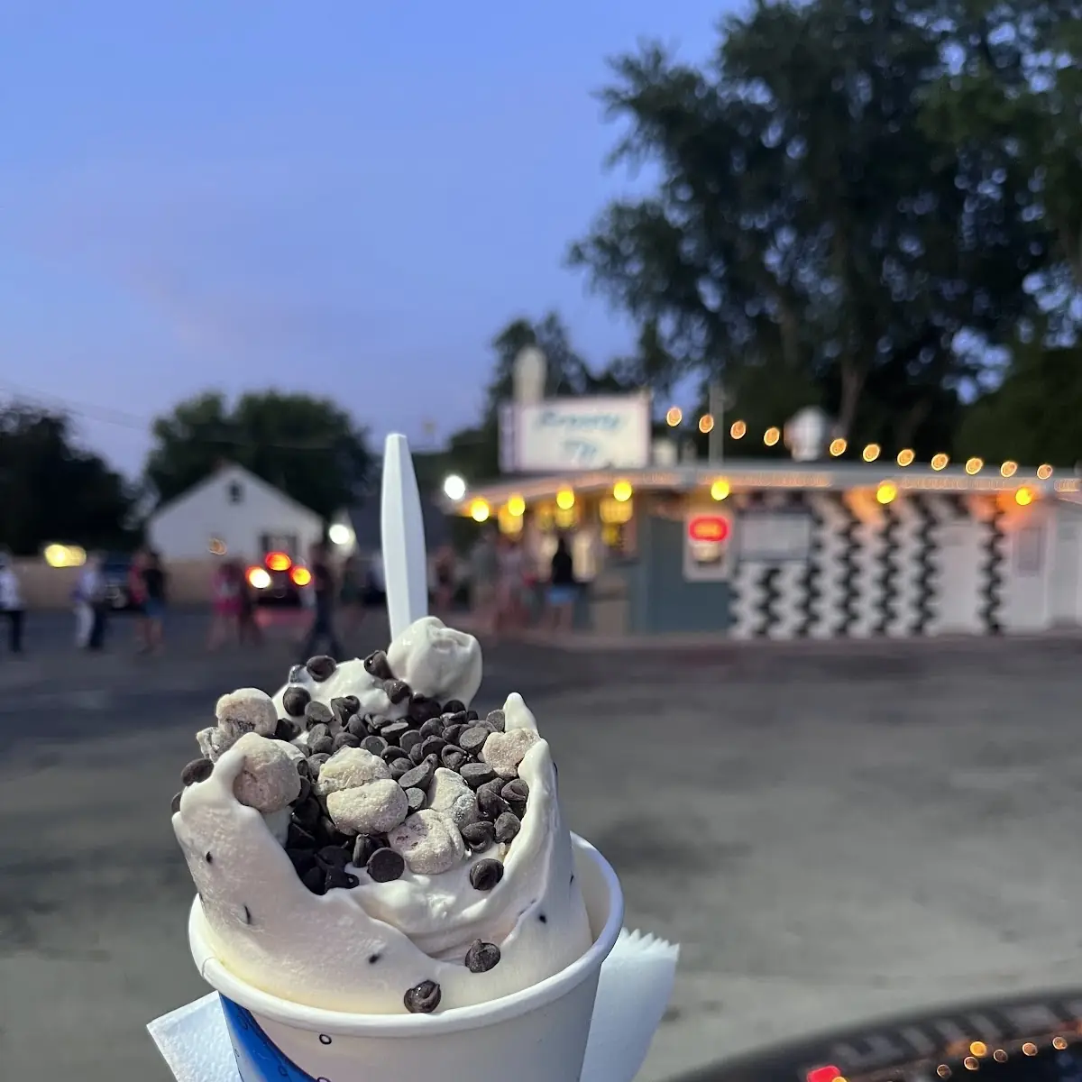 Chocolate Chip Cookie Dough Flurry