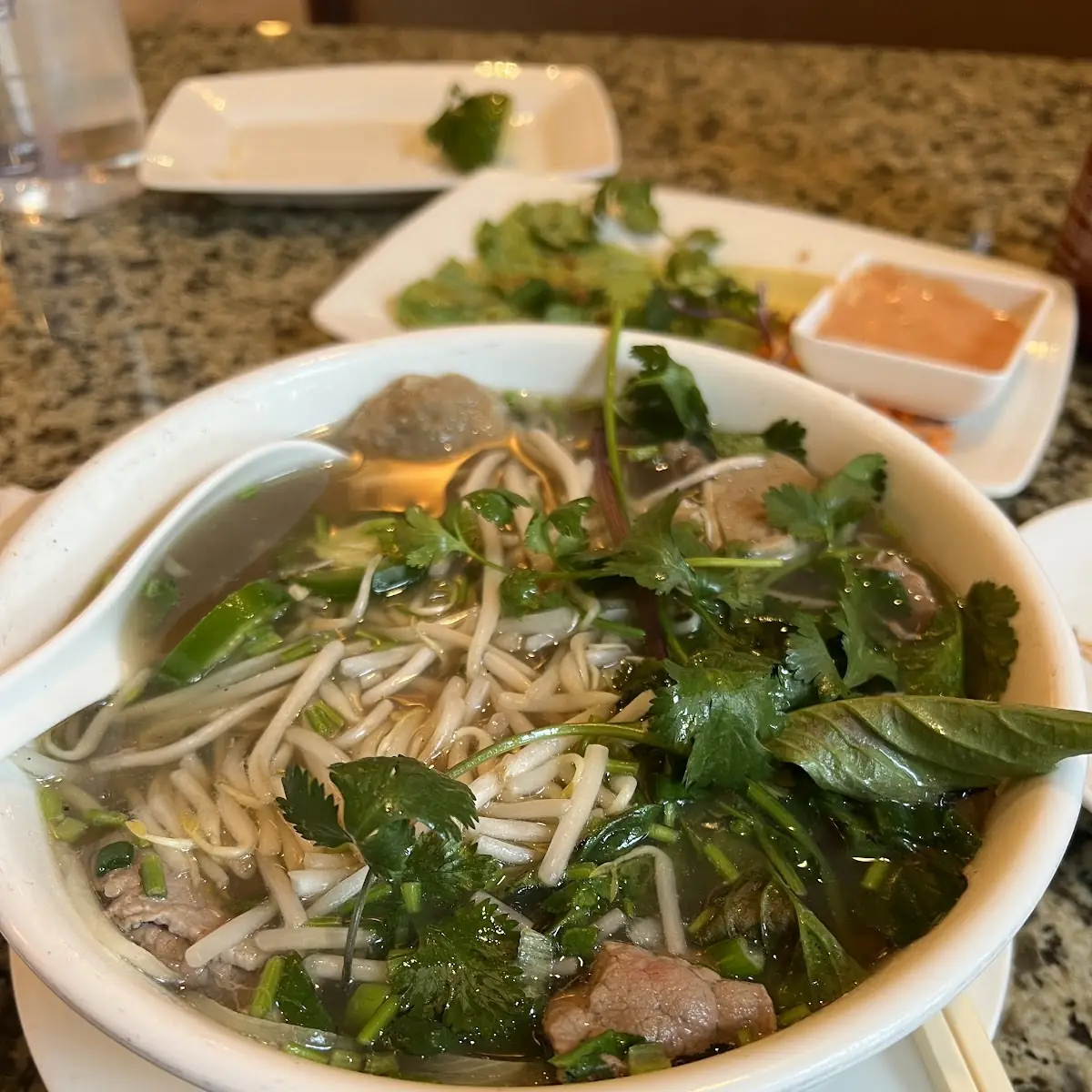 Combo Beef Noodle Soup