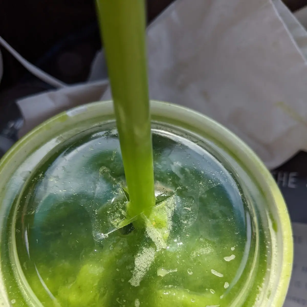 Green Smoothie
