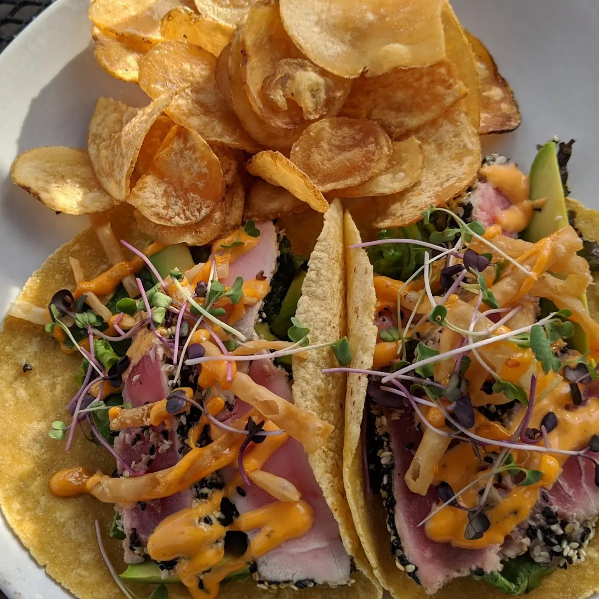 Seared Ahi Tuna Tacos