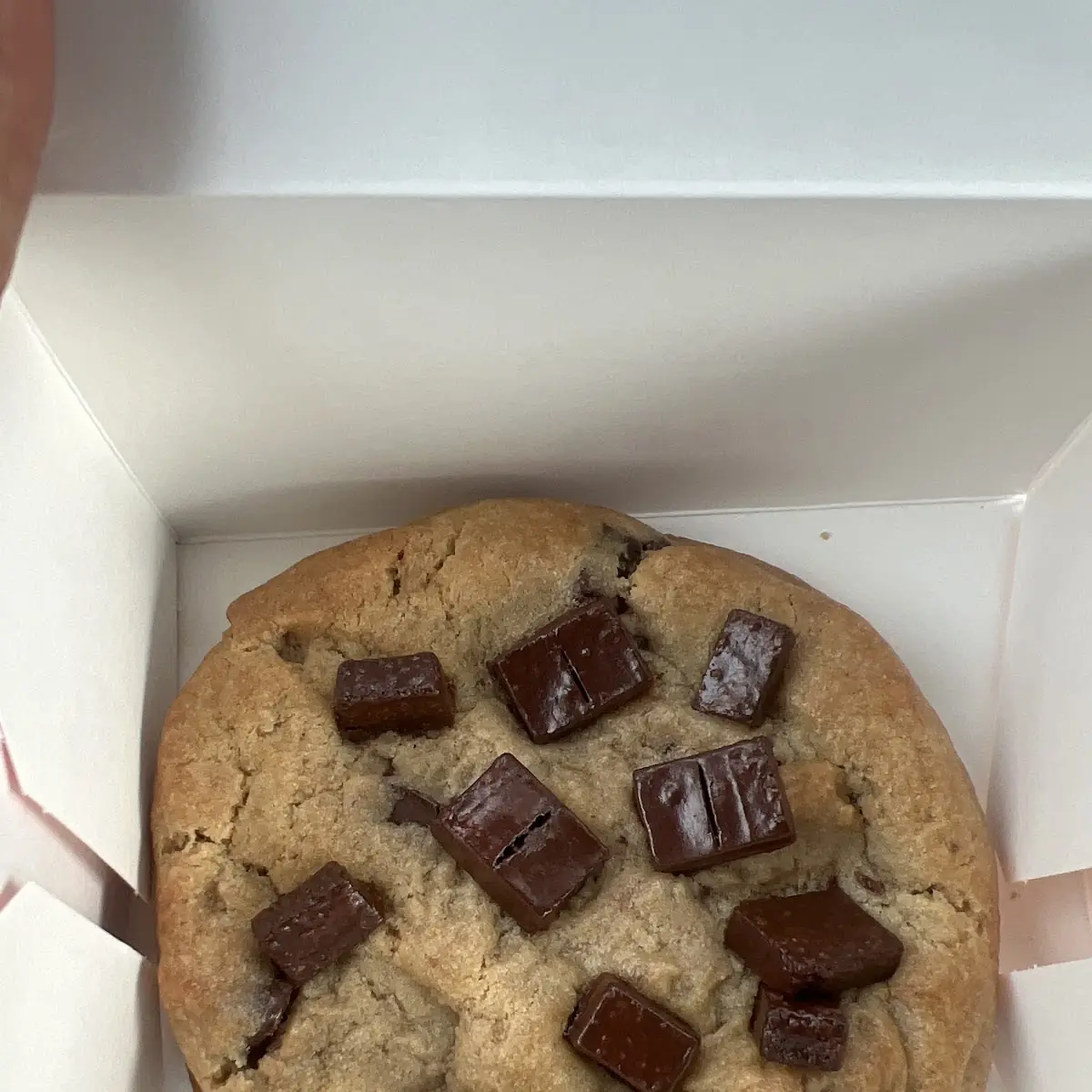 Chocolate Chip Cookie