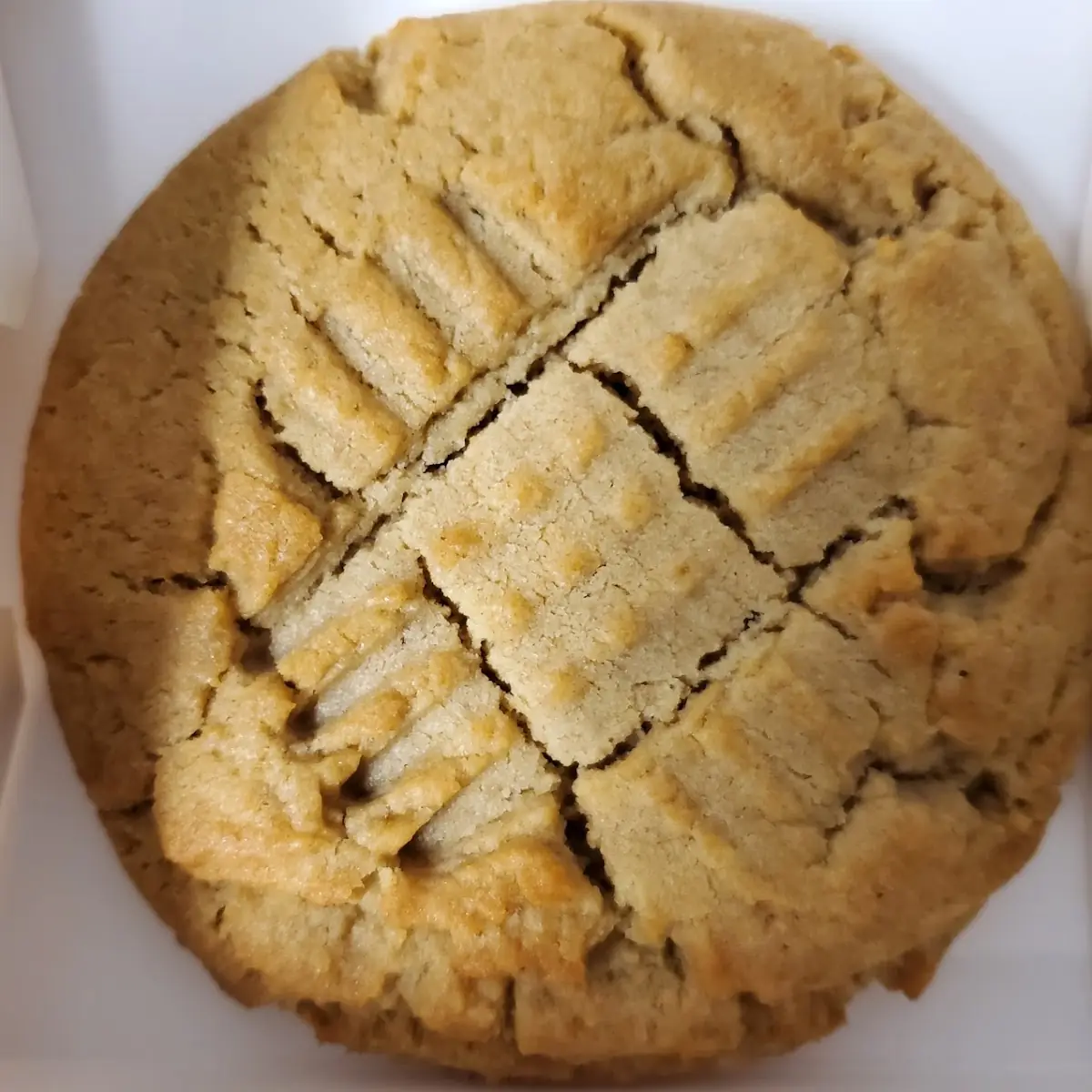 Peanut Butter Cookie