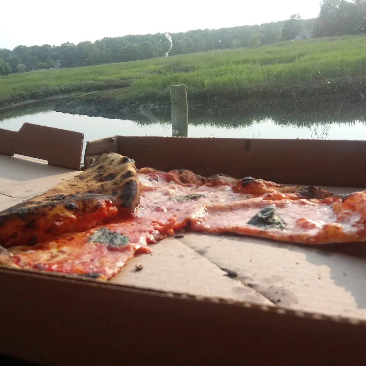 Margherita Pizza