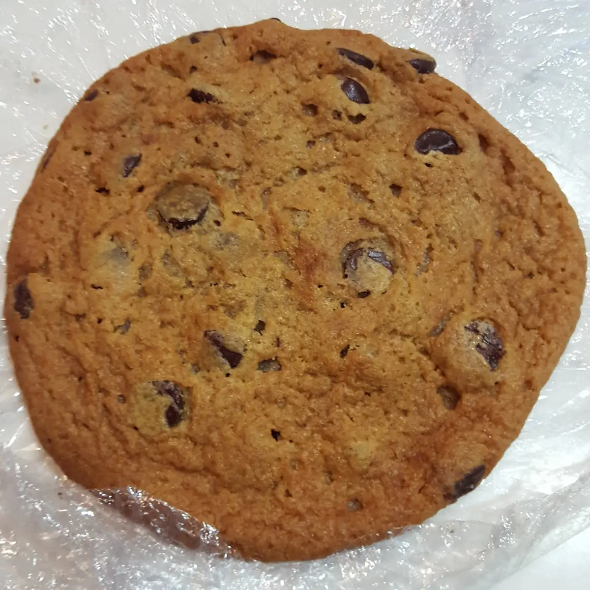 Chocolate Chip Cookie