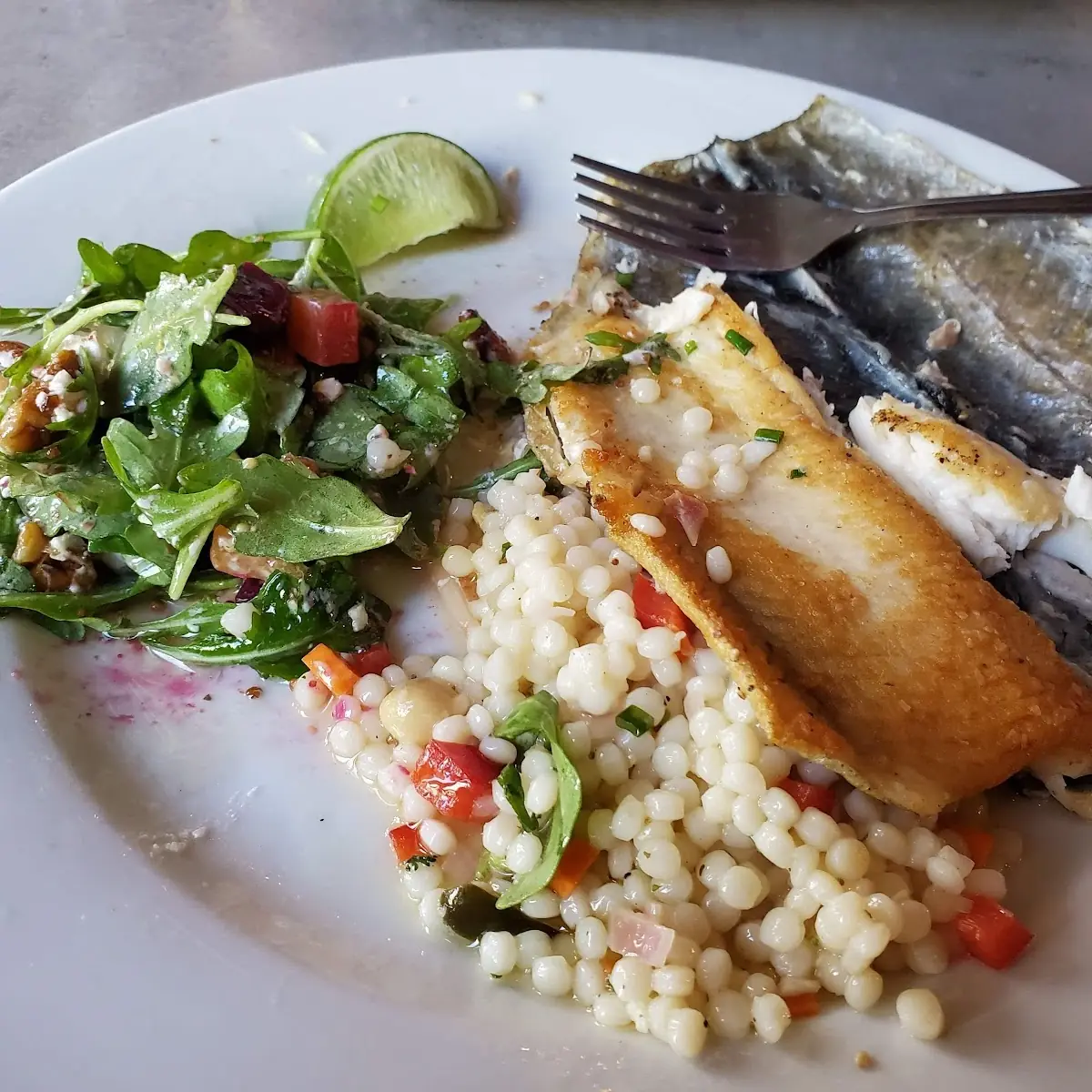 Rainbow Trout