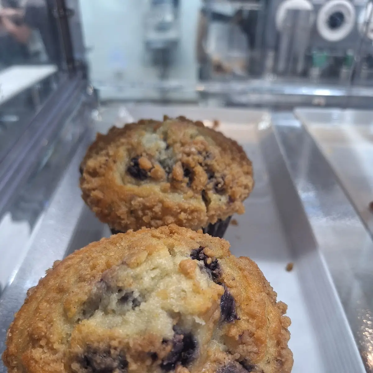 Blueberry Muffin