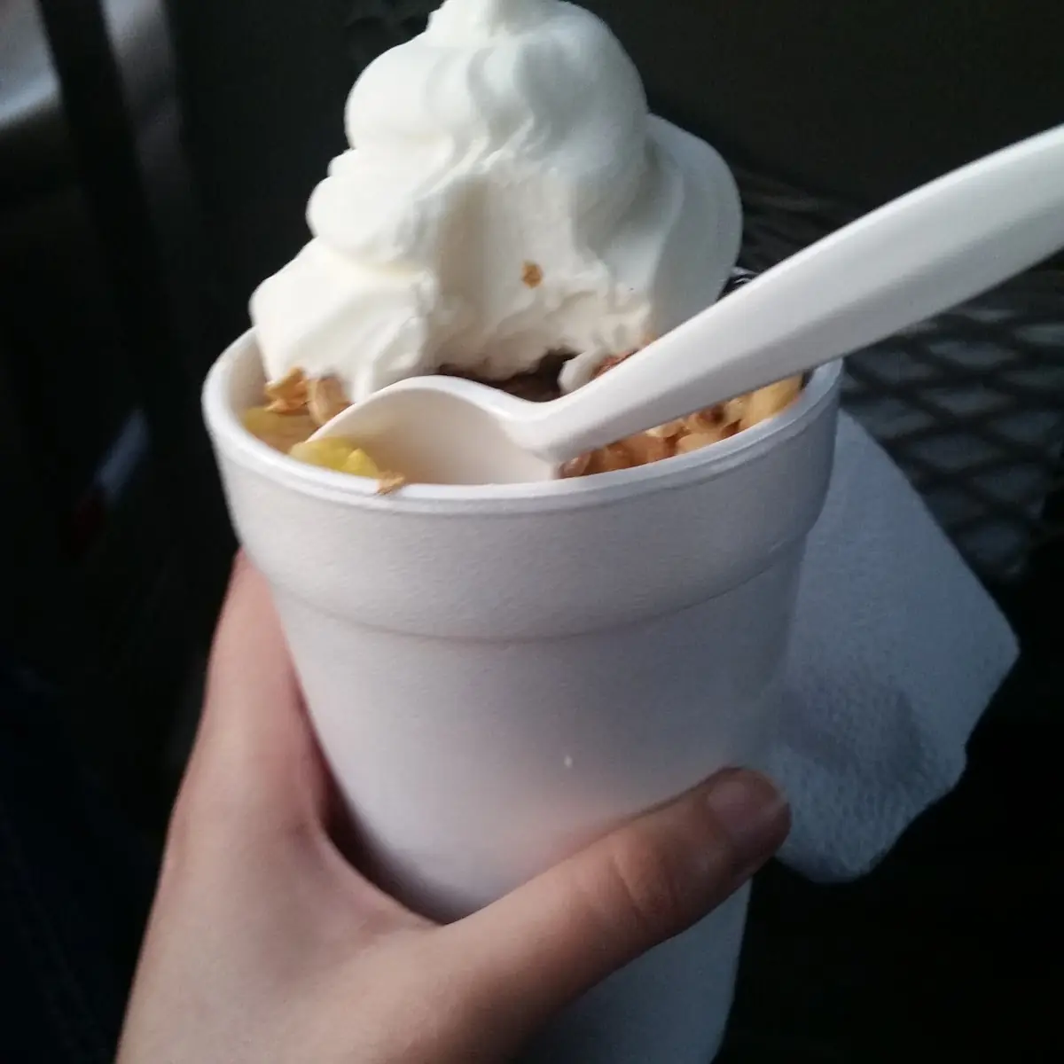 Frozen Yogurt