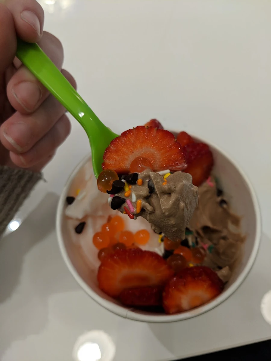 Frozen Yogurt