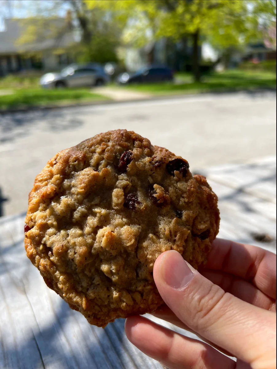 Cranberry Walnut Levain