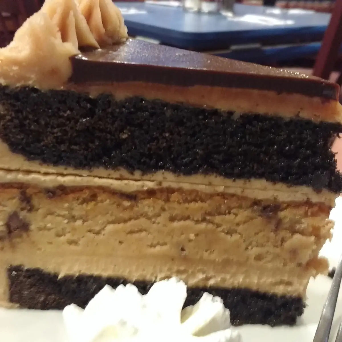 Peanut Butter Cup Chocolate Cheesecake
