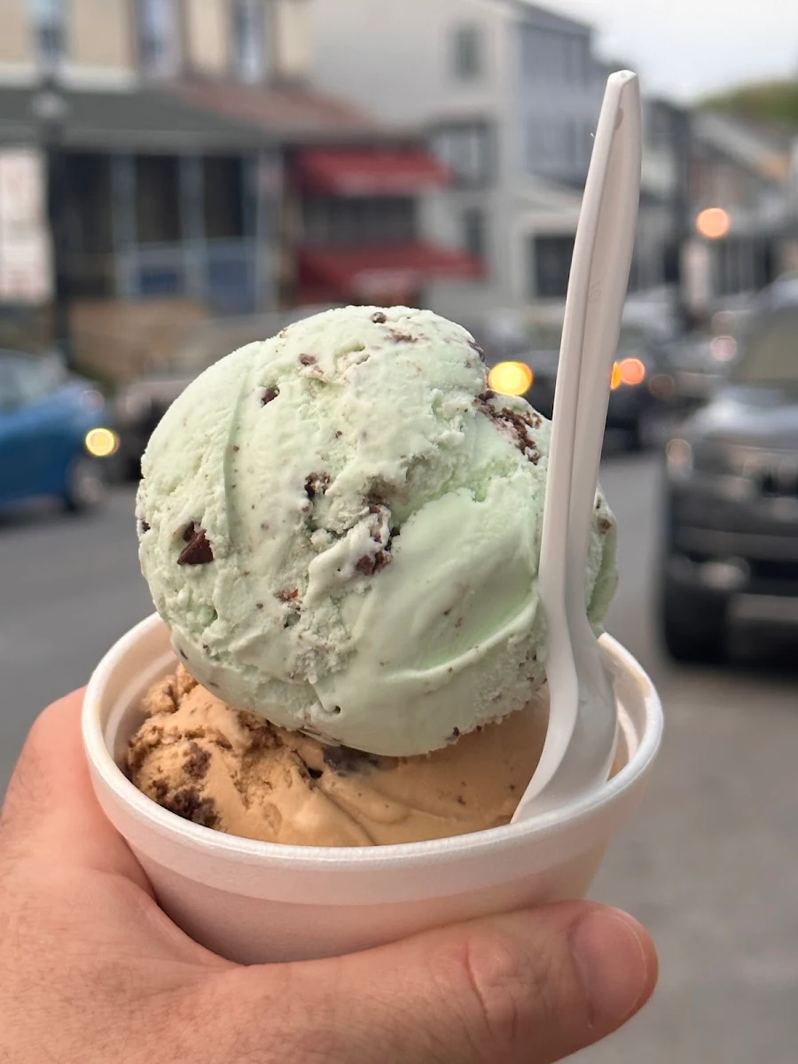 Chocolate Chip