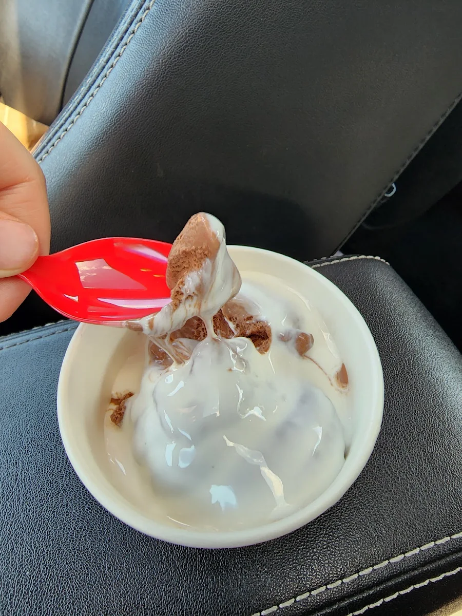 Chocolate Ice Cream with Marshmallow