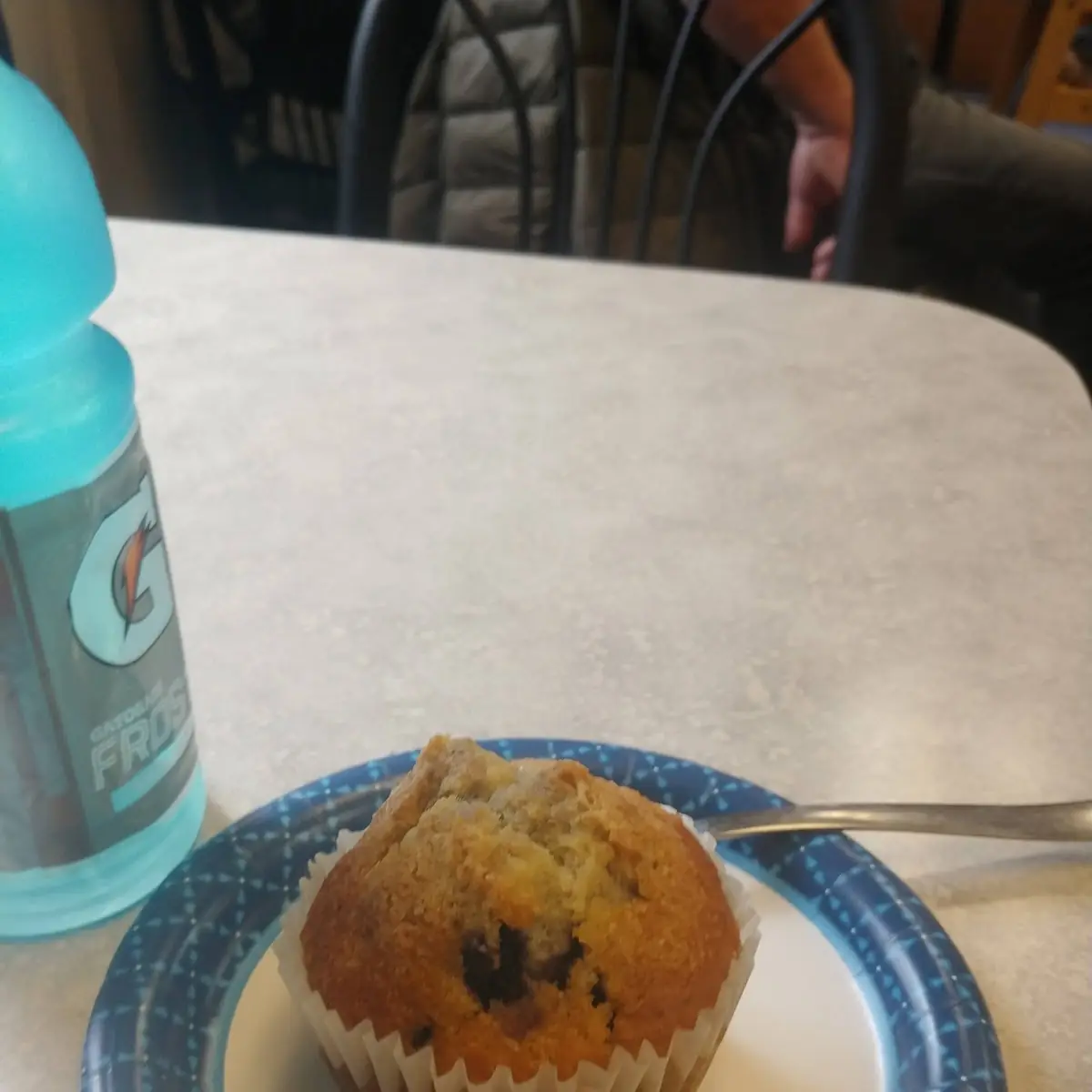 Blueberry Muffin