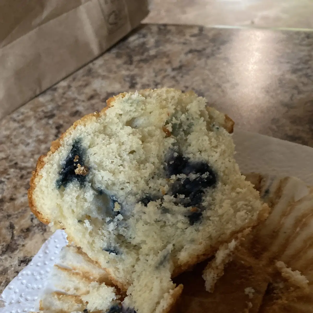 Blueberry Muffin