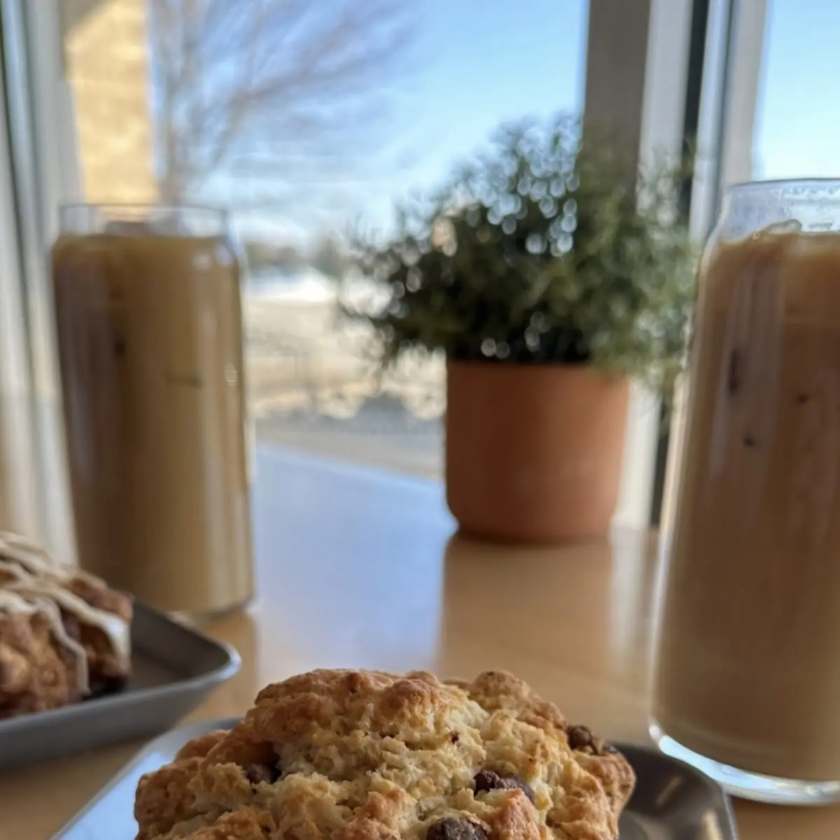 Chocolate Chip Scone
